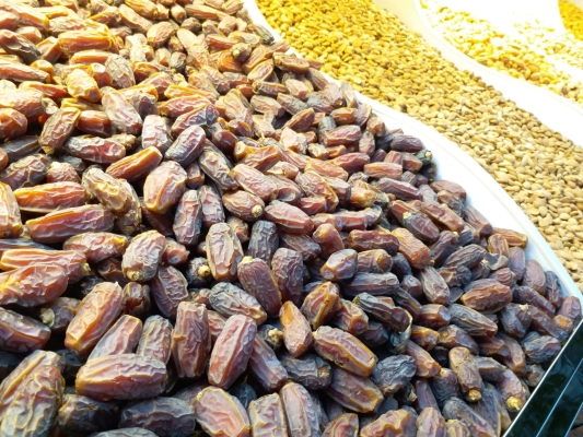 赤峰水母批發(fā)市場電話號碼-第1張圖片