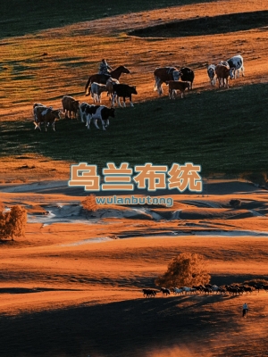 赤峰游牧羊團(tuán)購地址電話號碼-第1張圖片