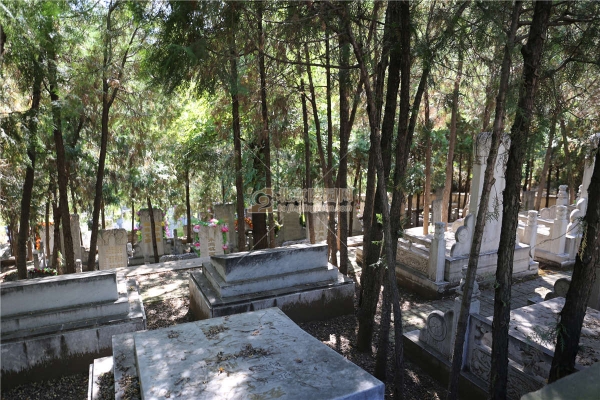 赤峰鳳凰山墓地陵園電話號碼-第1張圖片