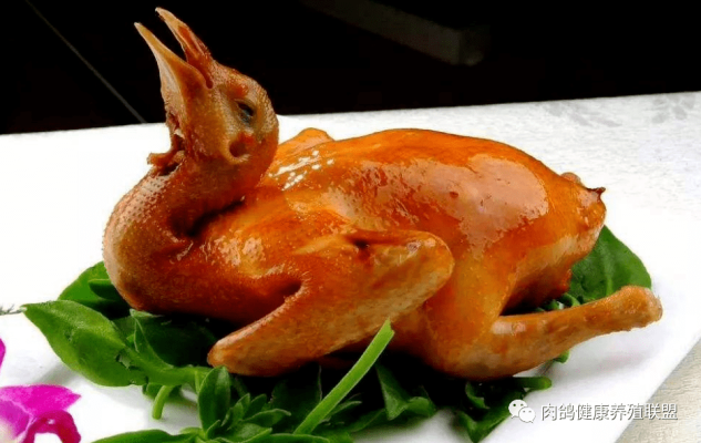 赤峰市肉鴿出售電話地址查詢-第1張圖片