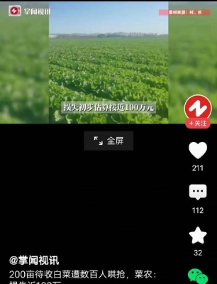 赤峰收白菜商販電話號碼查詢-第1張圖片