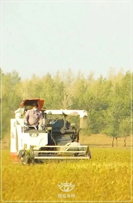 赤峰雙井高速電話(huà)是多少號(hào)-第1張圖片