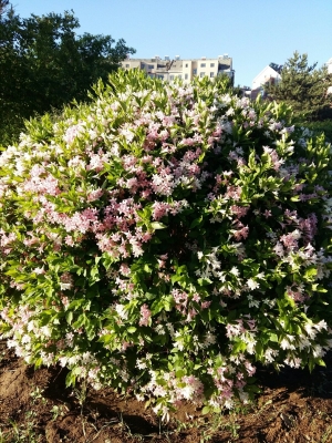 赤峰市錫箔河社區(qū)電話號(hào)碼-第1張圖片