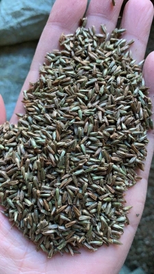 赤峰豐田種子公司電話(huà)號(hào)碼-第1張圖片