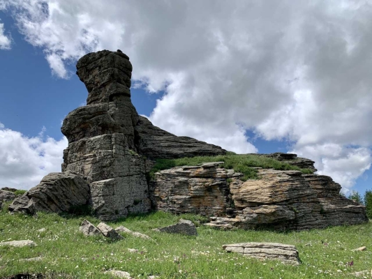 赤峰出售羊羔市場(chǎng)地址電話號(hào)碼-第1張圖片