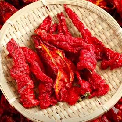 赤峰市辣椒產(chǎn)地在哪里-第1張圖片