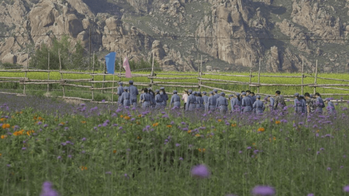 赤峰山野菜館地址電話號(hào)碼-第1張圖片