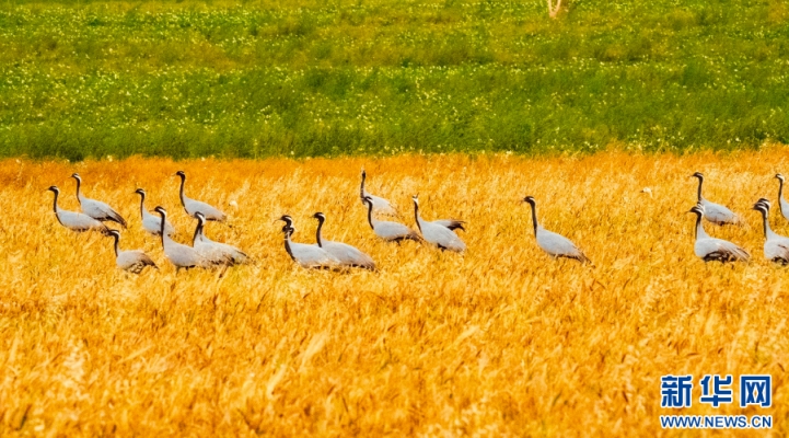 赤峰萬悅李寧店電話號碼-第1張圖片