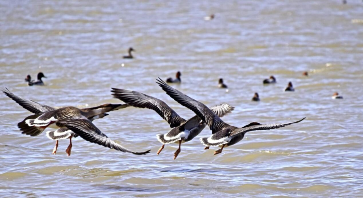 赤峰蒙帝汽貿(mào)電話號碼查詢-第1張圖片