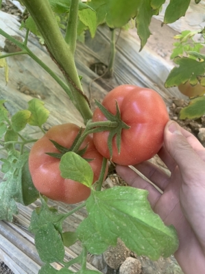 超樂(lè)水果赤峰三店電話是多少-第1張圖片