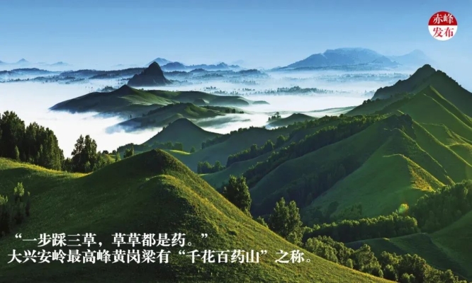 赤峰旅游公司電話多少號(hào)-第1張圖片