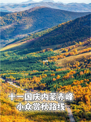 建平去赤峰政策查詢電話號(hào)碼-第1張圖片