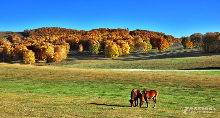 赤峰攝影電話是多少錢的-第1張圖片