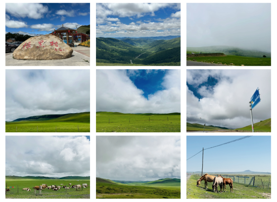 赤峰到河西車票查詢電話號碼-第1張圖片