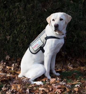 赤峰狗肉養(yǎng)殖場電話地址查詢-第1張圖片