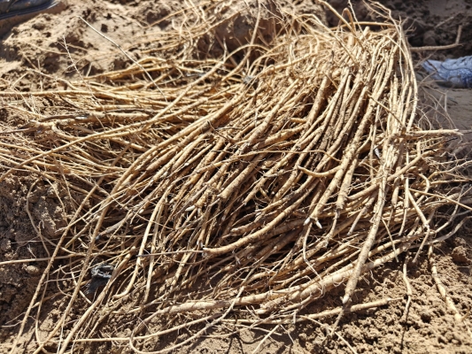 赤峰附近制袋廠電話地址是多少-第1張圖片