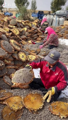 赤峰祁氏瓜子店地址電話號(hào)碼-第1張圖片