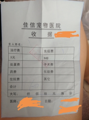 赤峰寧城的寵物醫(yī)院電話號(hào)碼-第1張圖片