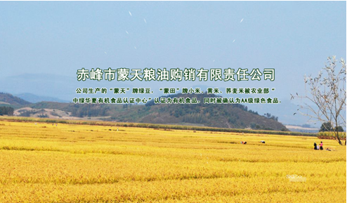 赤峰綠豆旗艦店地址電話號(hào)碼-第1張圖片