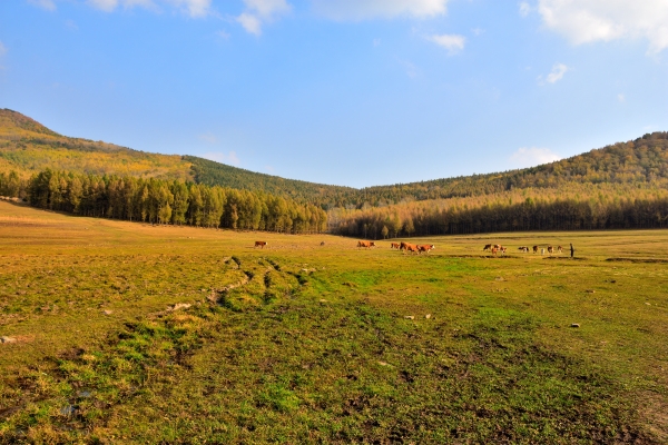 赤峰喀喇沁親子會所電話號碼-第1張圖片