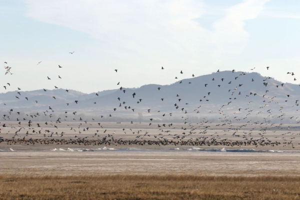 赤峰藍(lán)迪汽貿(mào)電話號碼查詢-第1張圖片
