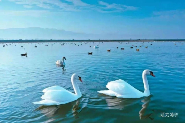 涼城到赤峰的黑車電話號碼是多少-第1張圖片