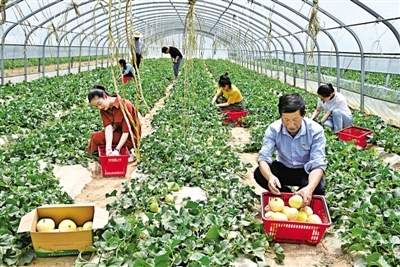 西峰到赤城的班車幾點(diǎn)-第1張圖片