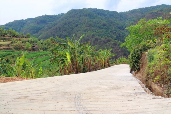 赤峰市黑石寨社區(qū)電話號(hào)碼-第1張圖片