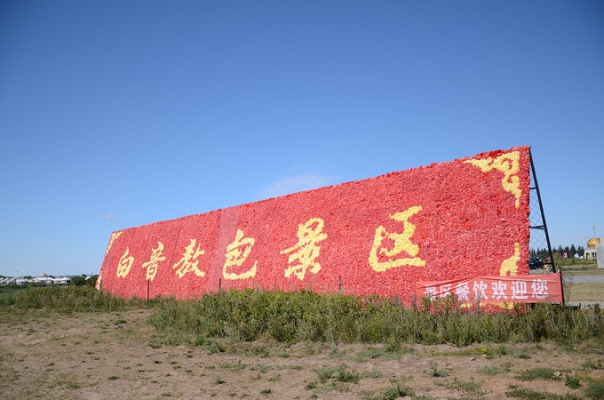 赤峰達達養(yǎng)車-第1張圖片