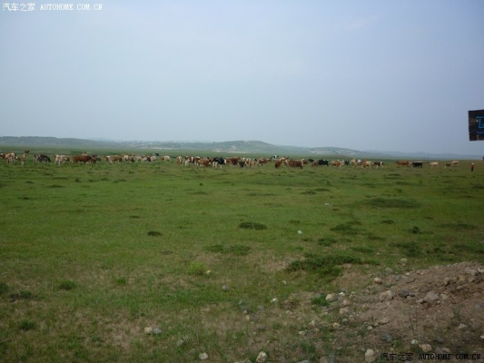沽源到赤峰旅游團電話號碼-第1張圖片