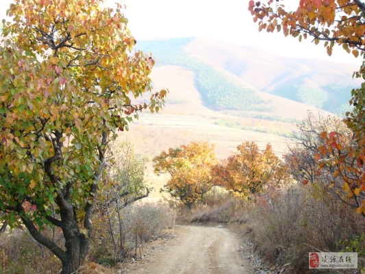 赤峰牛營子洗車店電話號碼-第1張圖片