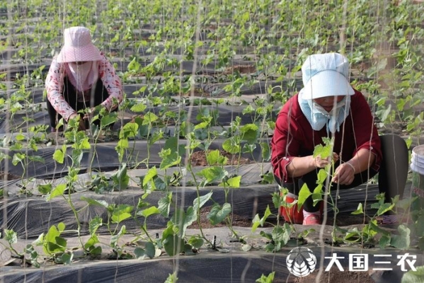赤峰大棚釣魚地址電話是多少號(hào)-第1張圖片