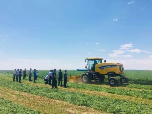 赤峰小黃蜂家政電話多少號-第1張圖片