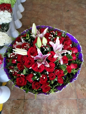 赤峰花卉團(tuán)購平臺電話號碼-第1張圖片