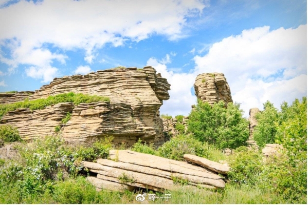 赤峰收廢樹(shù)枝電話號(hào)碼多少-第1張圖片