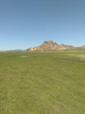 赤峰坤港賓館電話號(hào)碼多少-第1張圖片