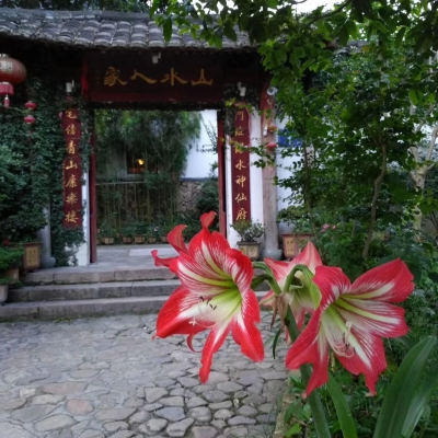 赤峰釣魚(yú)島休閑山莊電話號(hào)碼-第1張圖片