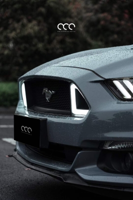 赤峰野馬貼膜電話多少啊-第1張圖片