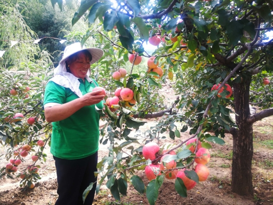 赤峰蘋果店鋪地址電話號碼查詢-第1張圖片