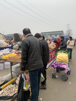 赤峰收狗販子電話地址查詢號碼-第1張圖片