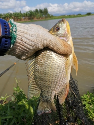 赤峰大梁溝子釣魚地點電話號碼-第1張圖片