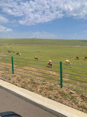 赤峰醉美景區(qū)電話號(hào)碼多少-第1張圖片