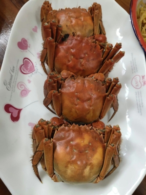 赤峰炸串直播平臺電話號碼-第1張圖片