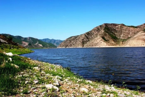 赤峰橋頭潘家營社區(qū)電話號(hào)碼-第1張圖片