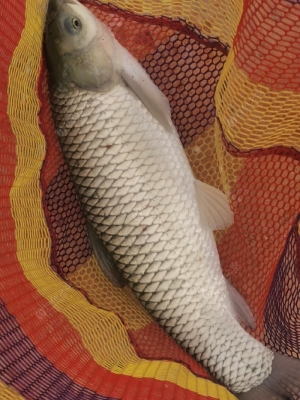 赤峰老丁釣場電話號碼查詢-第1張圖片