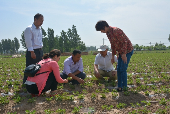 赤峰到河間拼車(chē)電話號(hào)碼-第1張圖片