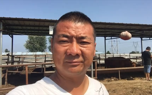 赤峰毛驢交易市場(chǎng)電話號(hào)碼-第1張圖片