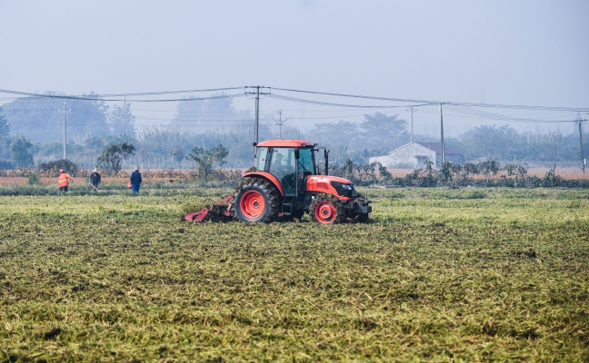 赤峰青鳥飛魚養(yǎng)殖基地電話號碼-第1張圖片