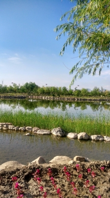 赤峰林東鎮(zhèn)娟子飯店電話號碼-第1張圖片