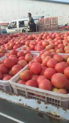 赤峰水果批發(fā)禮盒電話(huà)多少號(hào)-第1張圖片